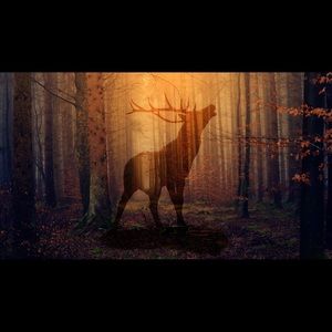 Meet your Posher, Steven